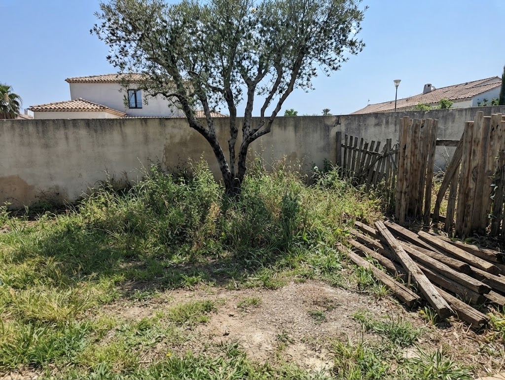 Création paysagère avant